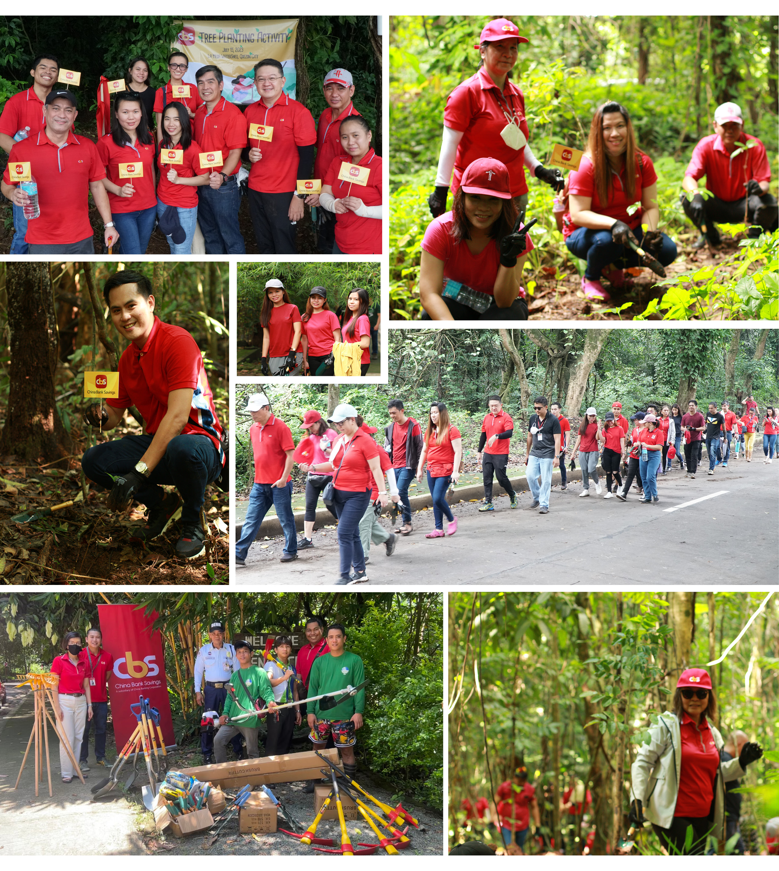 Tree Planting Activity